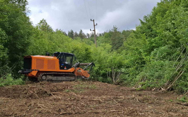 Електроразпределение Север планира да почисти над 1 000 км просеки в Североизточна България през 2026 г. (видео)
